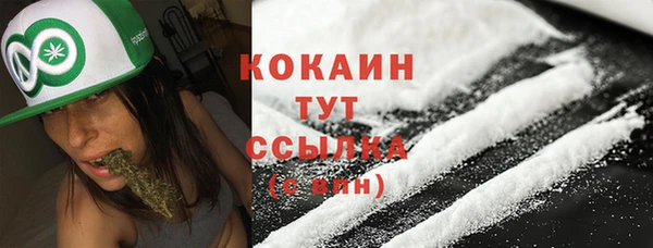гидра Михайловск