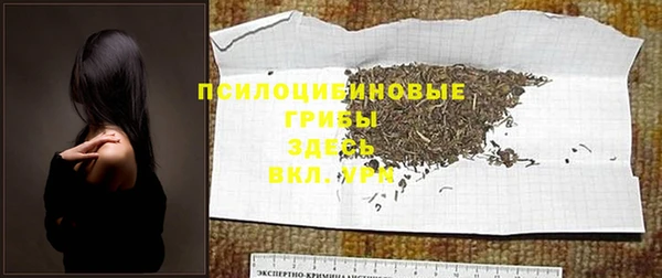гидра Михайловск