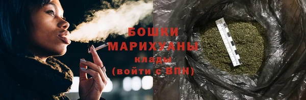 прущие грибы Заволжье