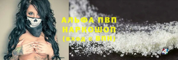 гидра Михайловск