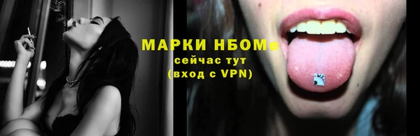 гидра Михайловск
