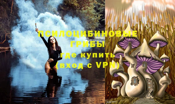 наркотики Михайлов