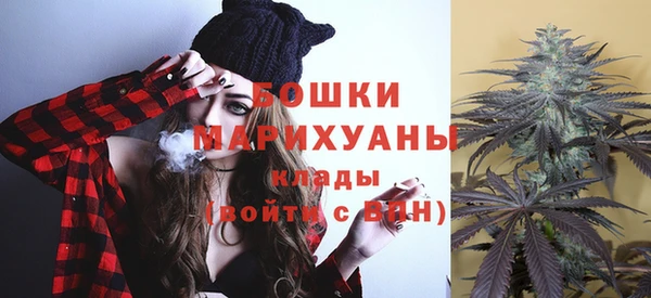 гидра Михайловск