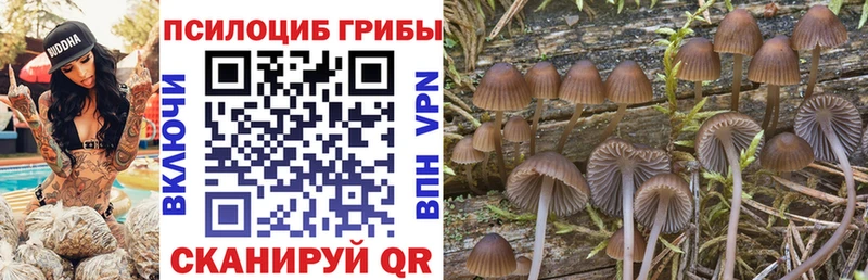 Псилоцибиновые грибы ЛСД  Димитровград 