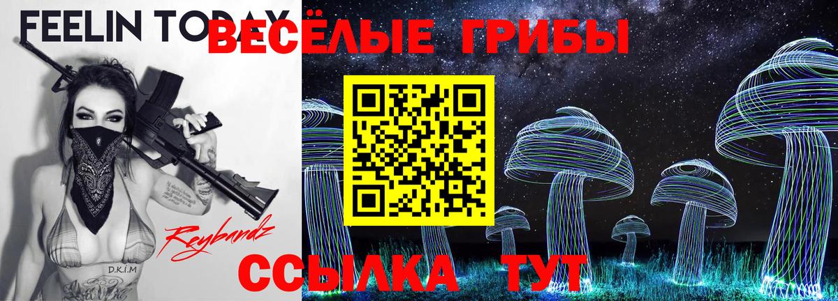 Димитровград  Псилоцибиновые грибы Magic Shrooms  Вход с VPN 