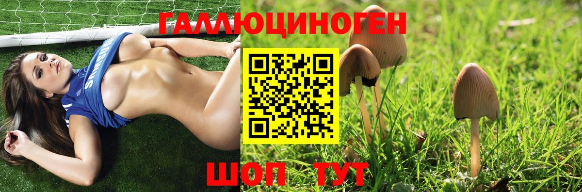 Галлюциногенные грибы Psilocybe Димитровград