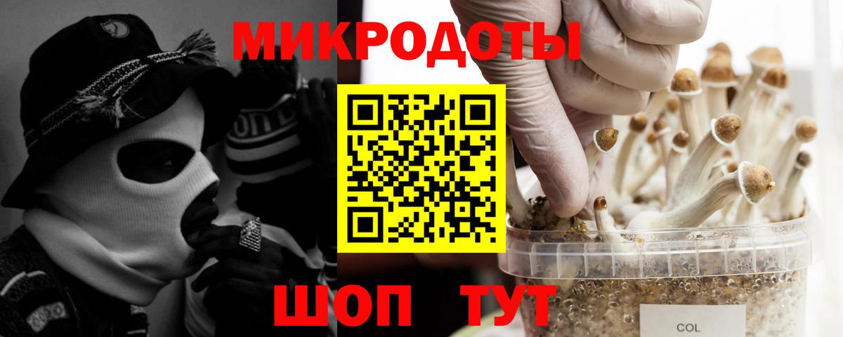Псилоцибиновые грибы мухоморы Димитровград