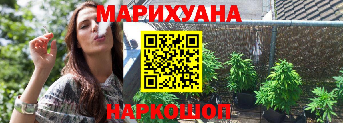 Канабис сатива Димитровград
